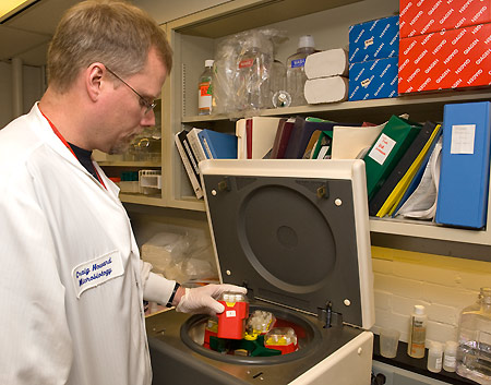 Medical technologist processing the specimens for HPV testing