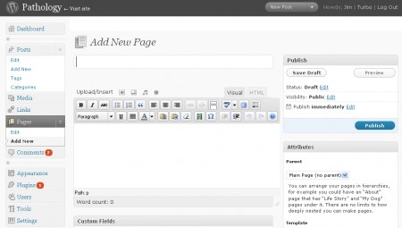 Screen Capture of WordPress authoring page