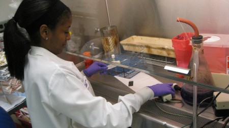 Processing respiratory viral samples for testing