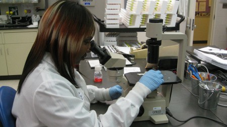 Reading tissue culture tubes  under the inverted microscope