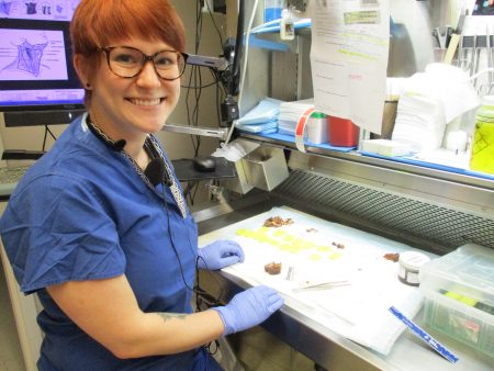 Rebecca Gregory, pathologist assistant student from the University of Maryland, explained how the fresh tissue is grossed. 